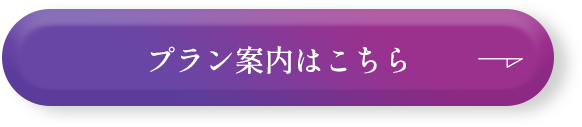 プラン案内はこちら